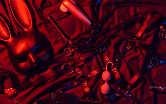 pet play (1)